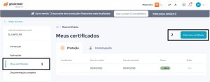 Celta-Pix-GerenciaNet3.jpg